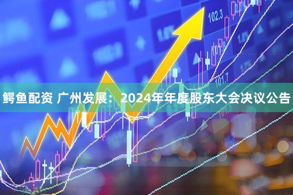 鳄鱼配资 广州发展：2024年年度股东大会决议公告