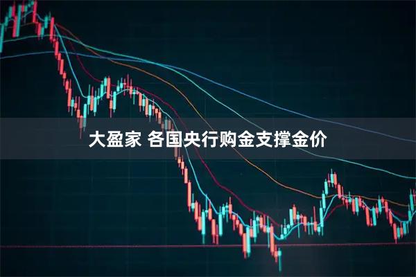 大盈家 各国央行购金支撑金价
