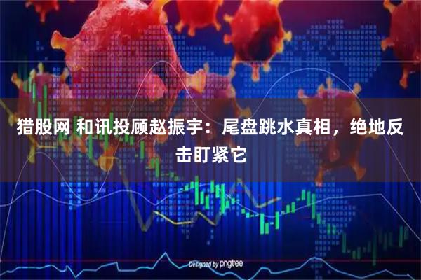 猎股网 和讯投顾赵振宇：尾盘跳水真相，绝地反击盯紧它