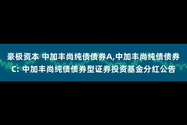 豪极资本 中加丰尚纯债债券A,中加丰尚纯债债券C: 中加丰尚纯债债券型证券投资基金分红公告