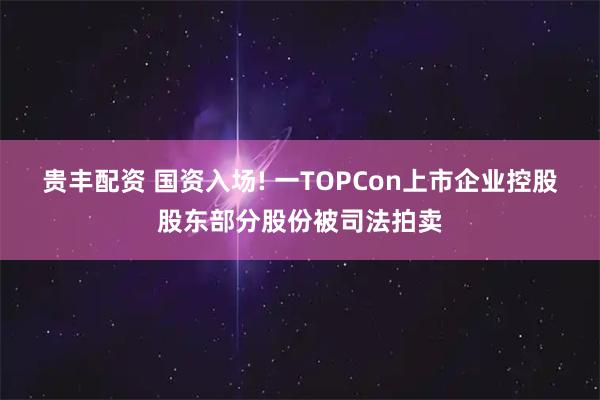 贵丰配资 国资入场! 一TOPCon上市企业控股股东部分股份被司法拍卖