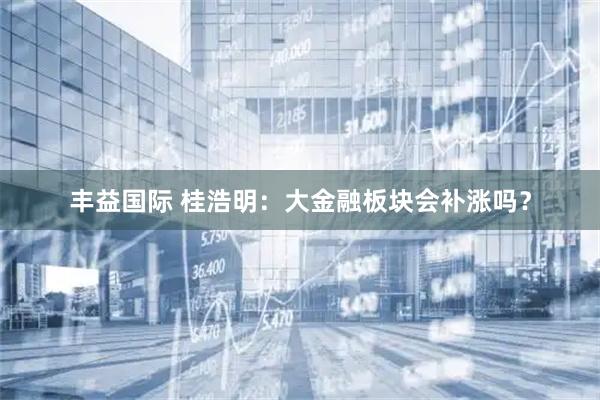 丰益国际 桂浩明：大金融板块会补涨吗？