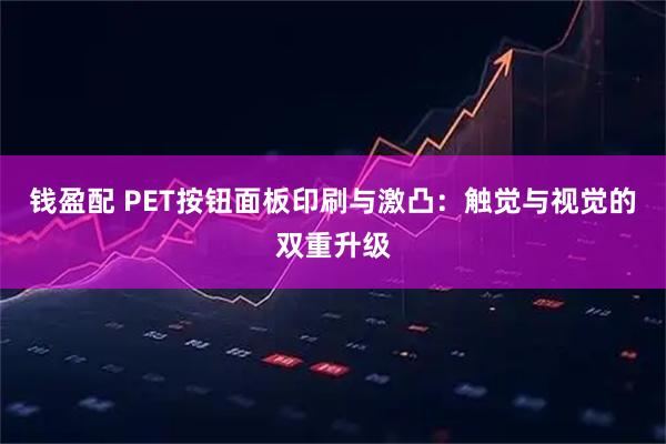 钱盈配 PET按钮面板印刷与激凸：触觉与视觉的双重升级