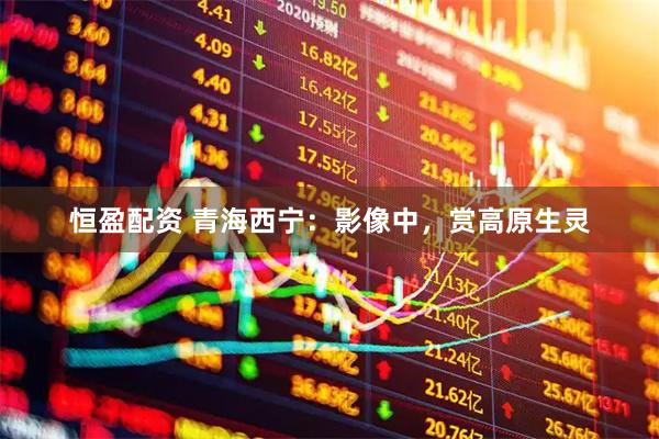 恒盈配资 青海西宁:影像中,赏高原生灵